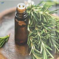 Rosemary Oil
