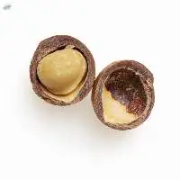 Macadamia