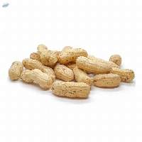 Peanuts