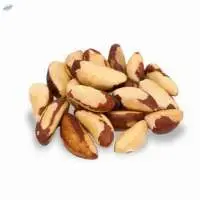 Brazil Nut