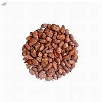 Cocoa