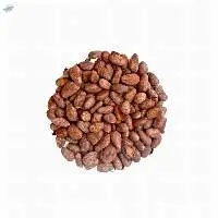 Cocoa