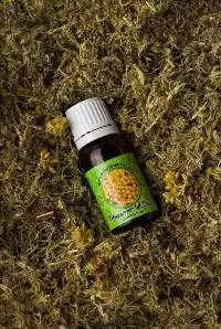 Imortelle Essential Oil