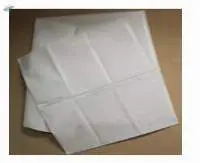 White Biodegradable Body Bag