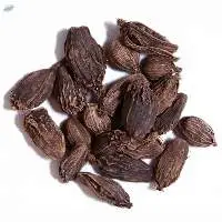 Black Cardamom