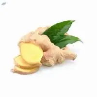 Ginger