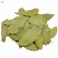 Bay Leaf