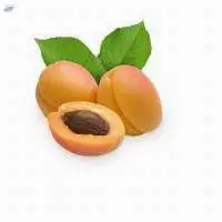 Apricot