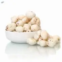 Fox Nut