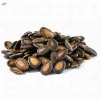 Watermelon Seed