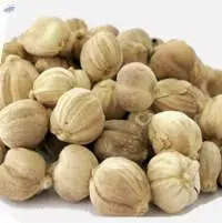 Cardamom