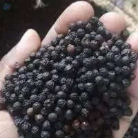 Black Pepper