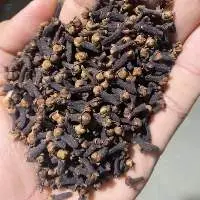 Cloves