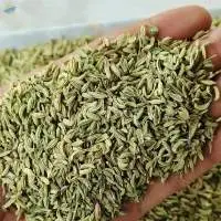 Fennel Seeds