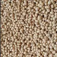 Soybeans