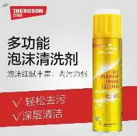 Aerosols Super Function Foam Cleaner With Brush