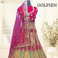Spr-Dolphin