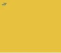 Acid Yellow 49