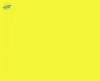 Acid Yellow 79