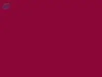 Acid Red 37