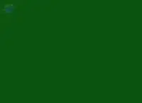 Acid Green 25