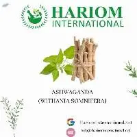 Ashwaganda