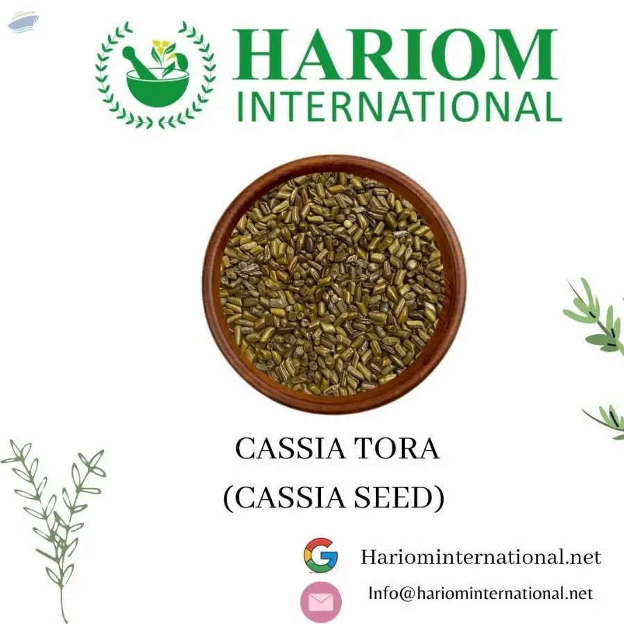 Cassia Tora Seed