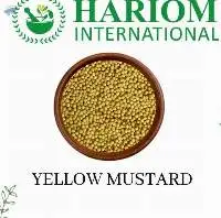 Yellow Mustard
