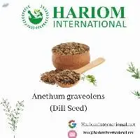 Dill Seeds