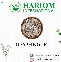 Dry Ginger
