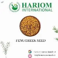 Fenugreek Seeds
