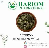 Dried Centella Asiatica