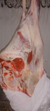 Fresh Chilled Beef