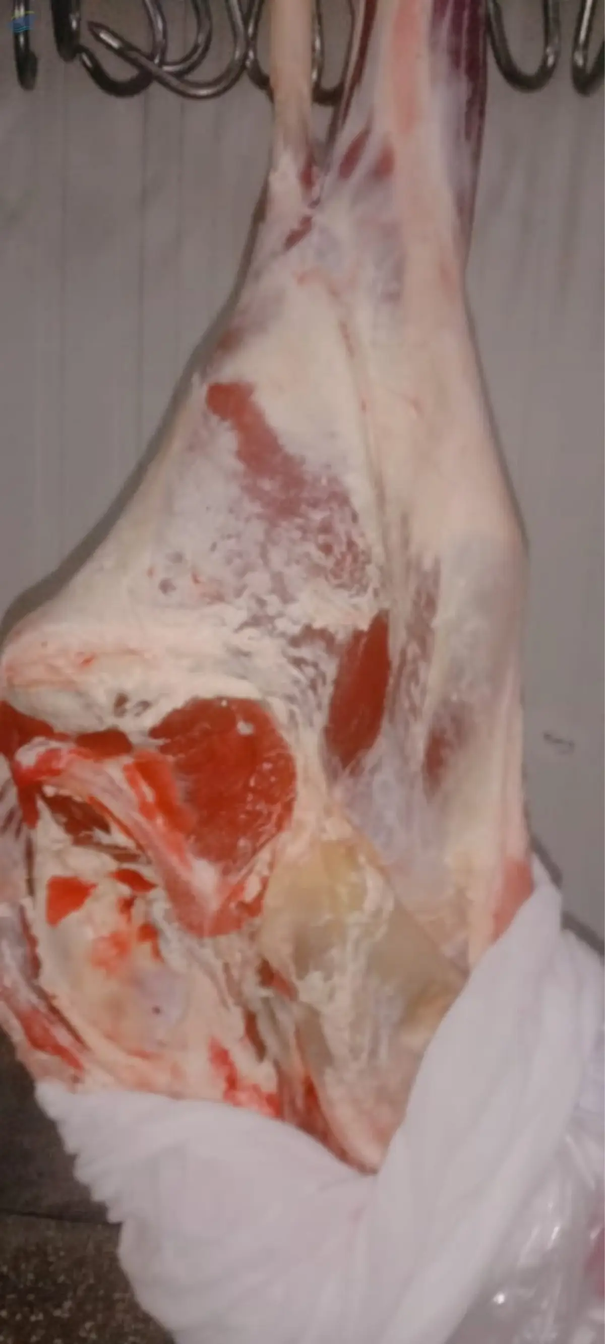 Fresh Chilled Beef