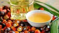 Palm Oil RBD Palm Olein