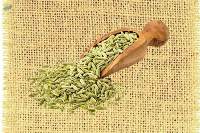 Fennel Seed
