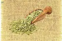 Fennel Seed