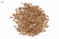 Dill Seed
