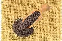 Mustard Seed