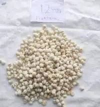 Makhana (Fox Nut)
