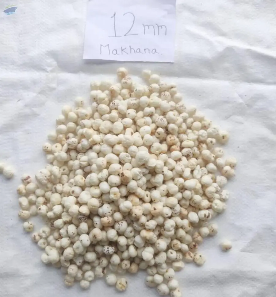 Makhana (Fox Nut)