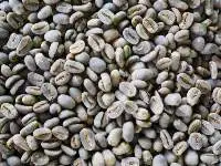 Green Coffee Bean Arabica Gayo Full Washed