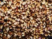 Green Coffee Bean Arabica Gayo Red Honey