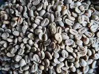 Green Coffee Bean Arabica Gayo Luwak Full Washed