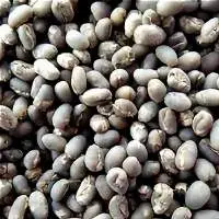 Green Coffee Bean Arabica Gayo Peaberry