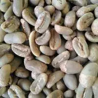 Green Coffee Bean Arabica Gayo Longberry