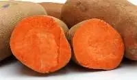 Sweet Potato