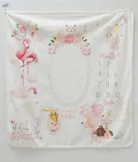Monthly Baby Blanket