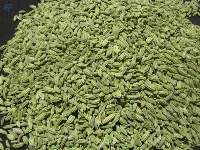 Fennel Seed