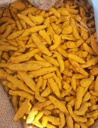 Turmeric